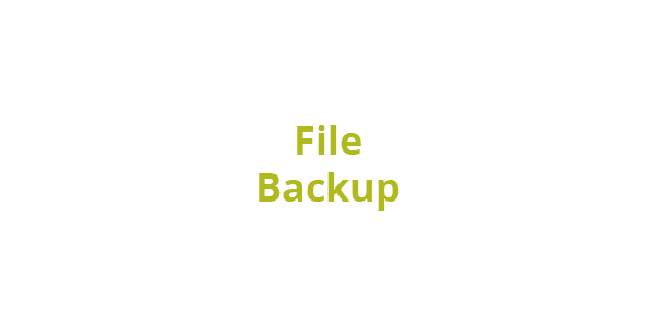 Secure your most important files with regular backups, protecting against hardware failure, accidental deletion, or ransomware attacks.
