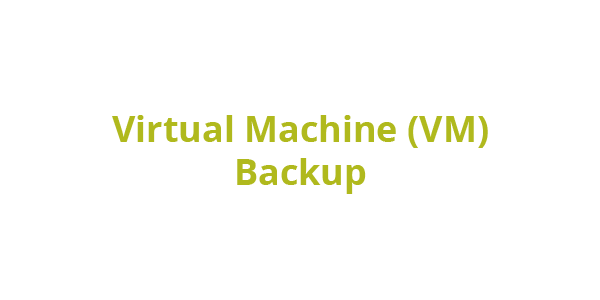 Protect your virtual environments with a fast, flexible, and reliable cloud VM backup solution for Hyper-V and VMware.