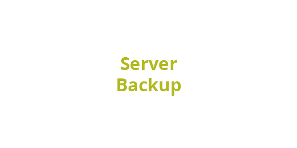 Implement fast and efficient server backup and recovery to minimize downtime and ensure business-critical applications remain available.